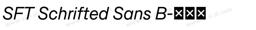 SFT Schrifted Sans B字体转换